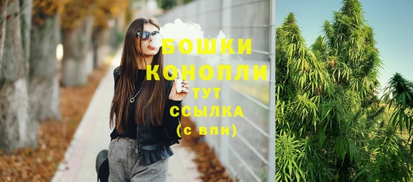 гашик Богородск