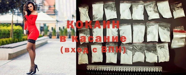 соль ск Богородицк