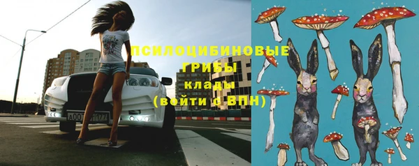 соль ск Богородицк
